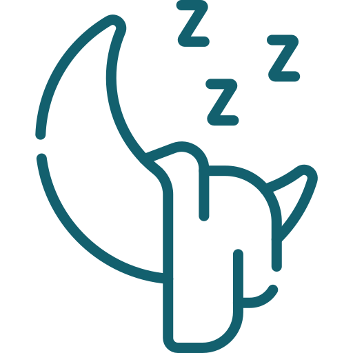 icona sonno